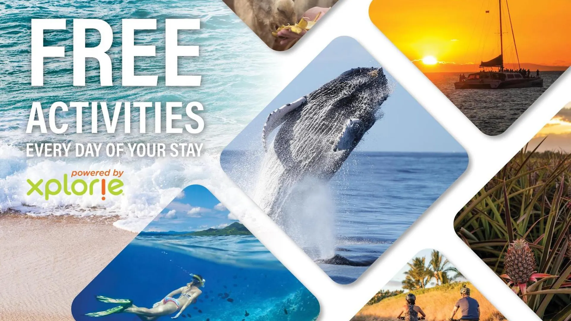 Сasa de vacaciones Villa International Colony Club 22 Lahaina Estados Unidos